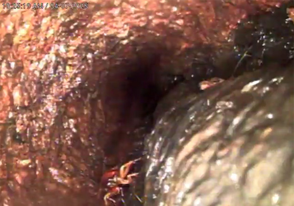 Original pipe (rust and scale buildup) 